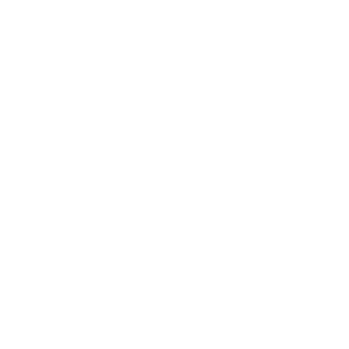 Fleuve.ai logo